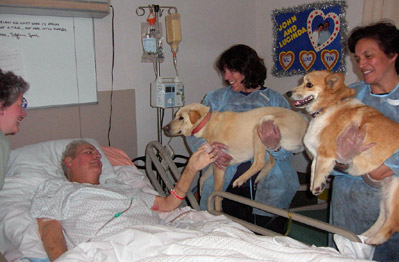 dogs_visit